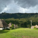 nadimasaaie