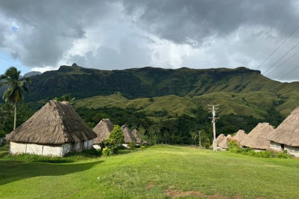 nadimasaaie